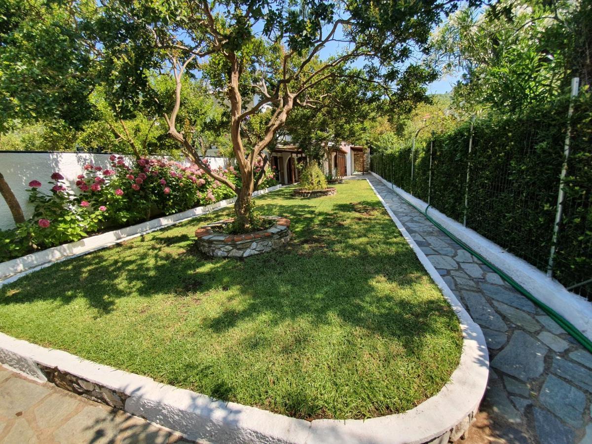 Dionisos Studios And Apts Skiathos Koukounaries Exteriör bild