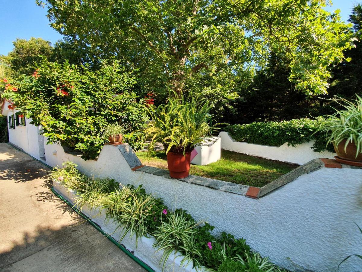 Dionisos Studios And Apts Skiathos Koukounaries Exteriör bild