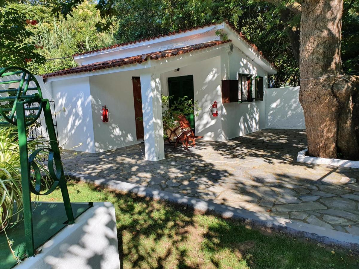Dionisos Studios And Apts Skiathos Koukounaries Exteriör bild